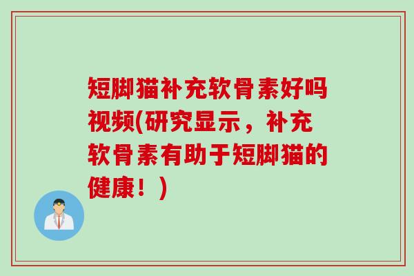 短脚猫补充软骨素好吗视频(研究显示，补充软骨素有助于短脚猫的健康！)