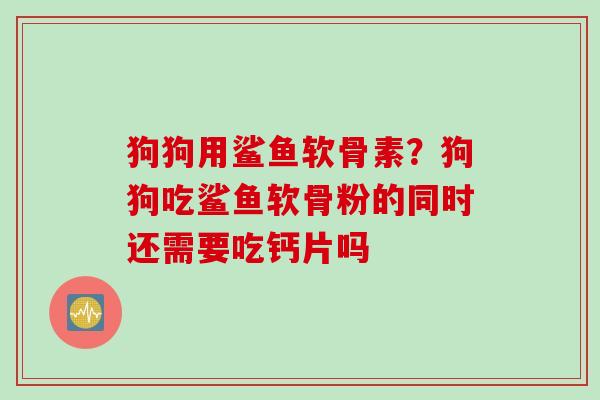 狗狗用鲨鱼软骨素？狗狗吃鲨鱼软骨粉的同时还需要吃钙片吗
