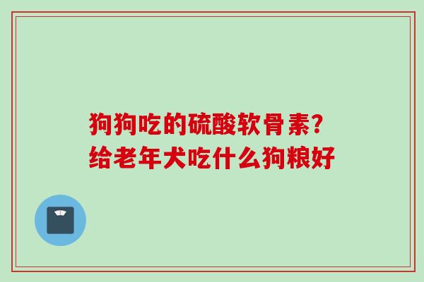 狗狗吃的硫酸软骨素？给老年犬吃什么狗粮好