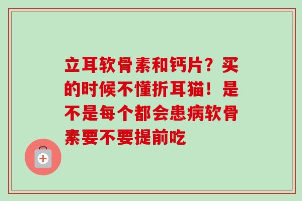 立耳软骨素和钙片？买的时候不懂折耳猫！是不是每个都会患病软骨素要不要提前吃