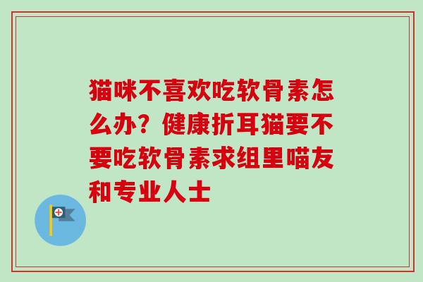 猫咪不喜欢吃软骨素怎么办？健康折耳猫要不要吃软骨素求组里喵友和专业人士