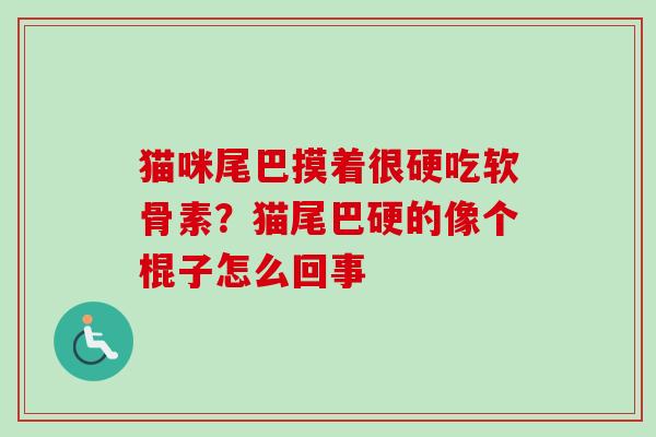 猫咪尾巴摸着很硬吃软骨素？猫尾巴硬的像个棍子怎么回事