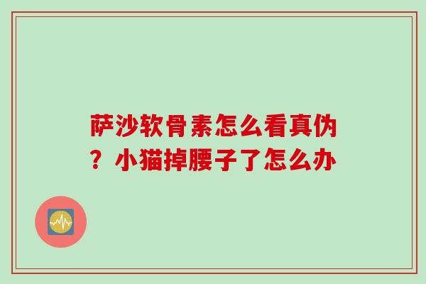 萨沙软骨素怎么看真伪？小猫掉腰子了怎么办