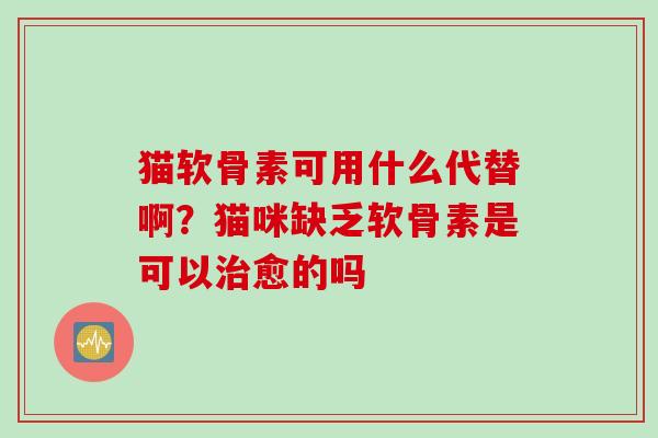 猫软骨素可用什么代替啊？猫咪缺乏软骨素是可以愈的吗