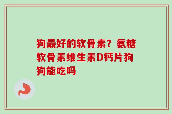 狗好的软骨素？氨糖软骨素维生素D钙片狗狗能吃吗