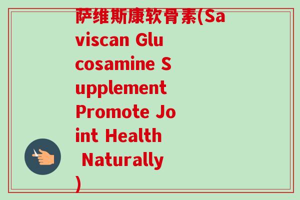 萨维斯康软骨素(Saviscan Glucosamine Supplement Promote Joint Health Naturally)