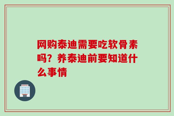 网购泰迪需要吃软骨素吗？养泰迪前要知道什么事情