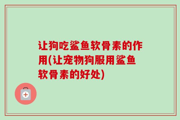 让狗吃鲨鱼软骨素的作用(让宠物狗服用鲨鱼软骨素的好处)