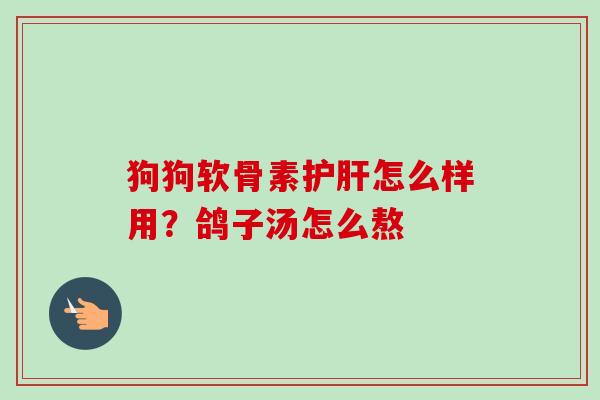 狗狗软骨素护肝怎么样用？鸽子汤怎么熬