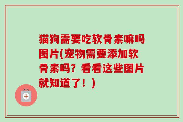 猫狗需要吃软骨素嘛吗图片(宠物需要添加软骨素吗？看看这些图片就知道了！)