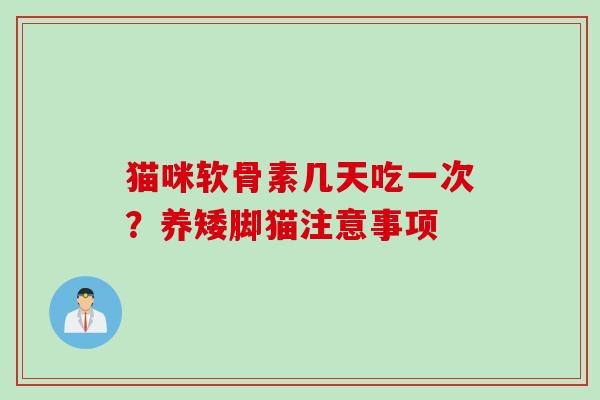 猫咪软骨素几天吃一次？养矮脚猫注意事项