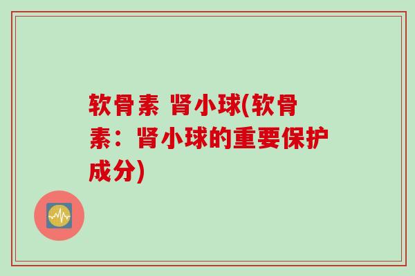 软骨素 小球(软骨素：小球的重要保护成分)