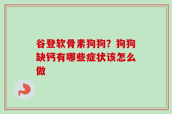 谷登软骨素狗狗？狗狗缺钙有哪些症状该怎么做