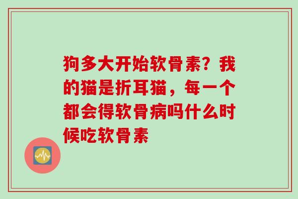 狗多大开始软骨素？我的猫是折耳猫，每一个都会得软骨吗什么时候吃软骨素
