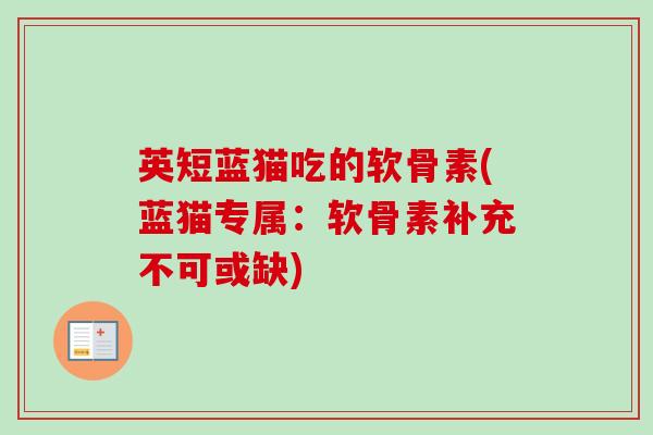 英短蓝猫吃的软骨素(蓝猫专属：软骨素补充不可或缺)