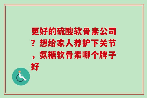 更好的硫酸软骨素公司？想给家人养护下关节，氨糖软骨素哪个牌子好