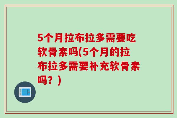 5个月拉布拉多需要吃软骨素吗(5个月的拉布拉多需要补充软骨素吗？)