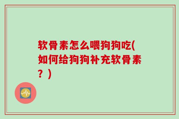 软骨素怎么喂狗狗吃(如何给狗狗补充软骨素？)