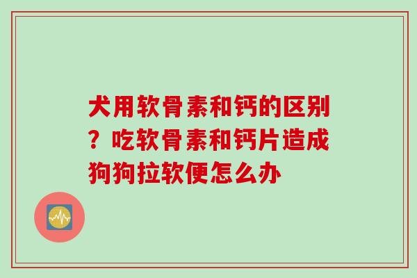 犬用软骨素和钙的区别？吃软骨素和钙片造成狗狗拉软便怎么办