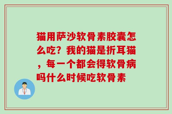 猫用萨沙软骨素胶囊怎么吃？我的猫是折耳猫，每一个都会得软骨病吗什么时候吃软骨素