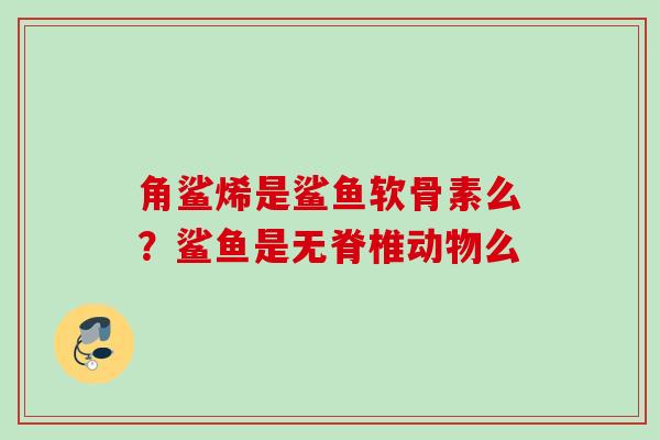 角鲨烯是鲨鱼软骨素么？鲨鱼是无脊椎动物么
