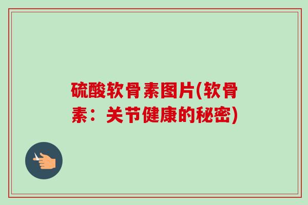 硫酸软骨素图片(软骨素：关节健康的秘密)