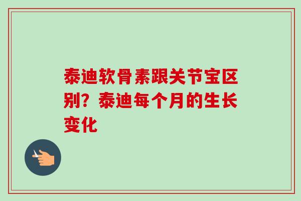 泰迪软骨素跟关节宝区别？泰迪每个月的生长变化