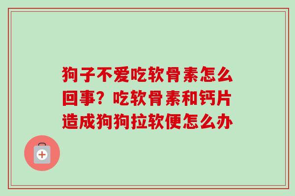 狗子不爱吃软骨素怎么回事？吃软骨素和钙片造成狗狗拉软便怎么办