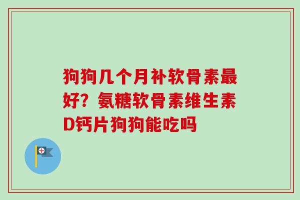 狗狗几个月补软骨素最好？氨糖软骨素维生素D钙片狗狗能吃吗