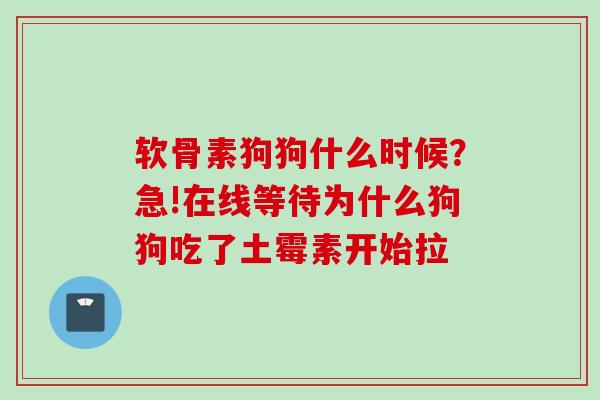 软骨素狗狗什么时候？急!在线等待为什么狗狗吃了土霉素开始拉