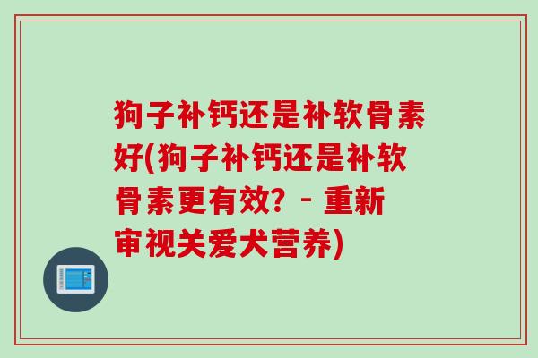 狗子补钙还是补软骨素好(狗子补钙还是补软骨素更有效？- 重新审视关爱犬营养)