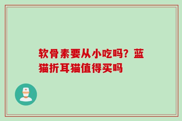 软骨素要从小吃吗？蓝猫折耳猫值得买吗