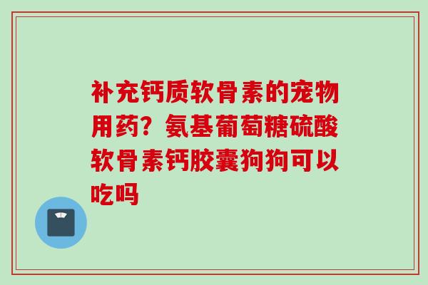补充钙质软骨素的宠物用药？氨基葡萄糖硫酸软骨素钙胶囊狗狗可以吃吗