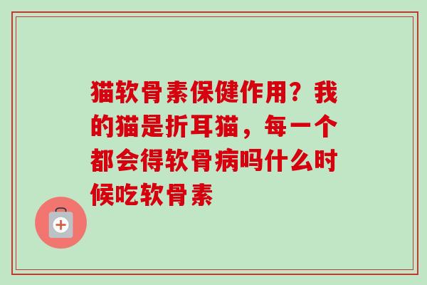 猫软骨素保健作用？我的猫是折耳猫，每一个都会得软骨病吗什么时候吃软骨素