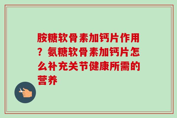 胺糖软骨素加钙片作用？氨糖软骨素加钙片怎么补充关节健康所需的营养