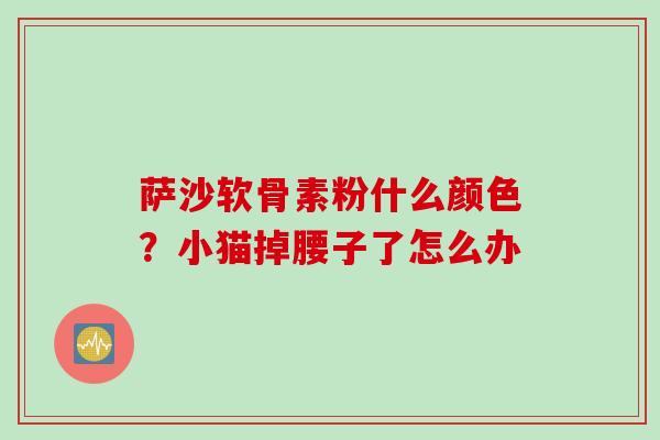 萨沙软骨素粉什么颜色？小猫掉腰子了怎么办