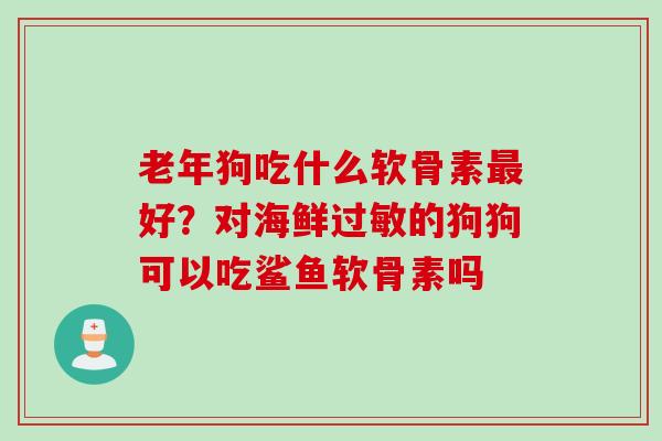 老年狗吃什么软骨素最好？对海鲜过敏的狗狗可以吃鲨鱼软骨素吗