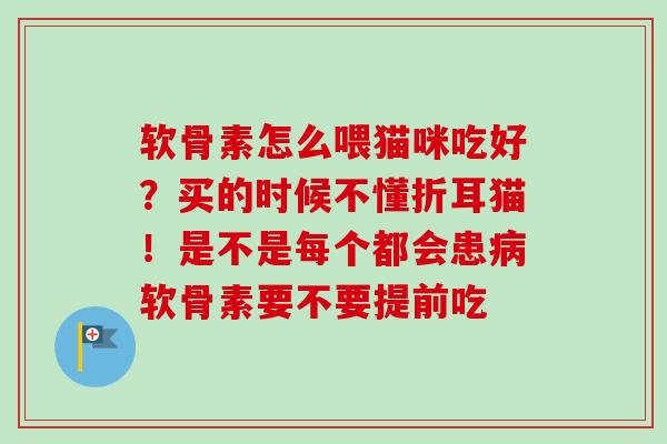 软骨素怎么喂猫咪吃好？买的时候不懂折耳猫！是不是每个都会患病软骨素要不要提前吃