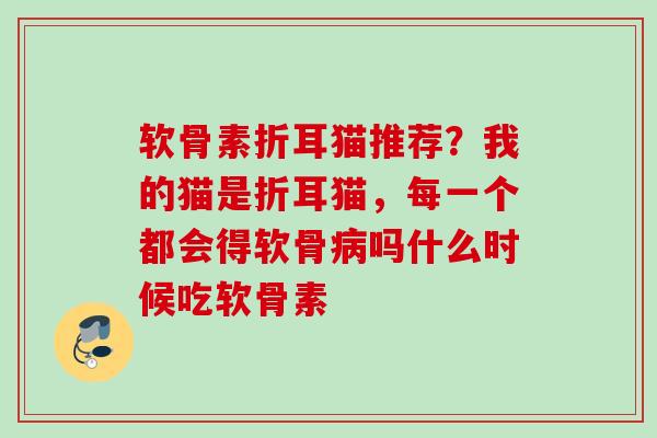 软骨素折耳猫推荐？我的猫是折耳猫，每一个都会得软骨病吗什么时候吃软骨素