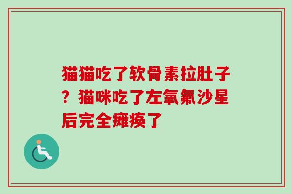 猫猫吃了软骨素拉肚子?猫咪吃了左氧氟沙星后完全瘫痪了 猫猫吃了软骨素拉肚子?猫咪吃了左氧氟沙星后完全瘫痪了
