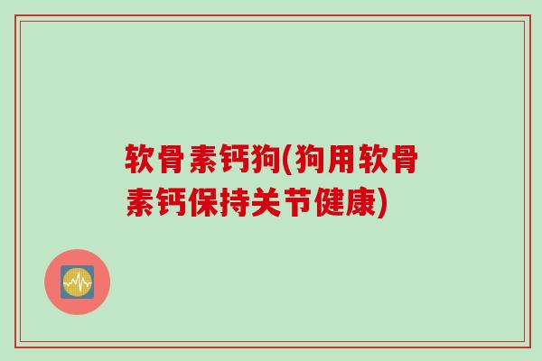 软骨素钙狗(狗用软骨素钙保持关节健康)