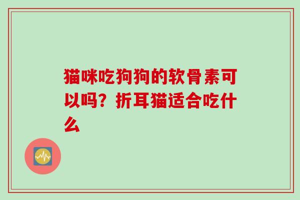 猫咪吃狗狗的软骨素可以吗？折耳猫适合吃什么