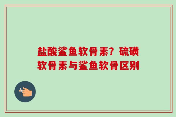 盐酸鲨鱼软骨素？硫磺软骨素与鲨鱼软骨区别