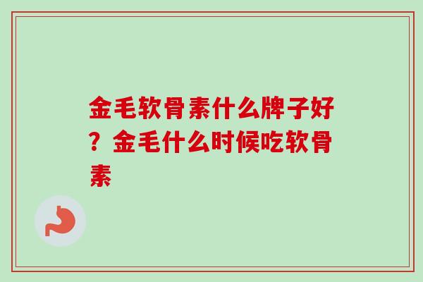 金毛软骨素什么牌子好？金毛什么时候吃软骨素