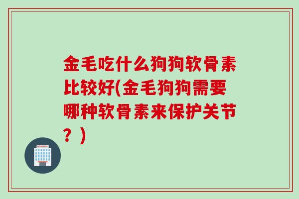 金毛吃什么狗狗软骨素比较好(金毛狗狗需要哪种软骨素来保护关节？)
