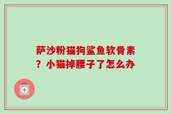 萨沙粉猫狗鲨鱼软骨素？小猫掉腰子了怎么办