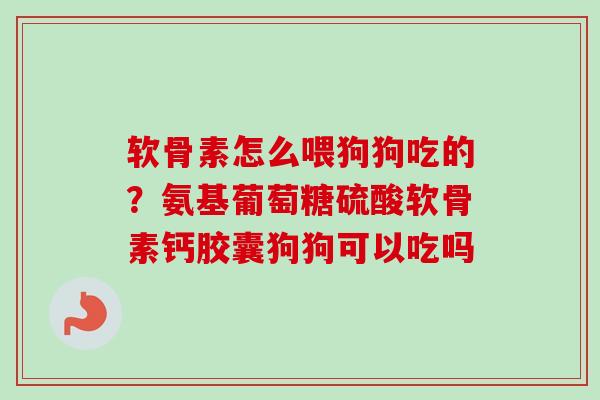 软骨素怎么喂狗狗吃的？氨基葡萄糖硫酸软骨素钙胶囊狗狗可以吃吗