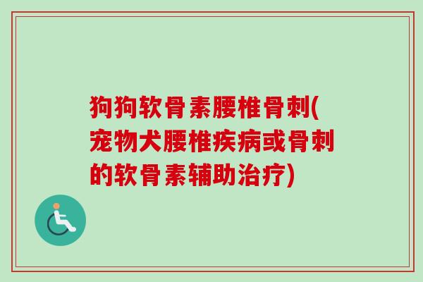 狗狗软骨素腰椎骨刺(宠物犬腰椎疾病或骨刺的软骨素辅助治疗) 狗狗软骨素腰椎骨刺(宠物犬腰椎疾病或骨刺的软骨素辅助治疗)