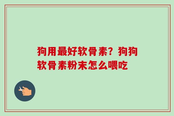 狗用最好软骨素？狗狗软骨素粉末怎么喂吃