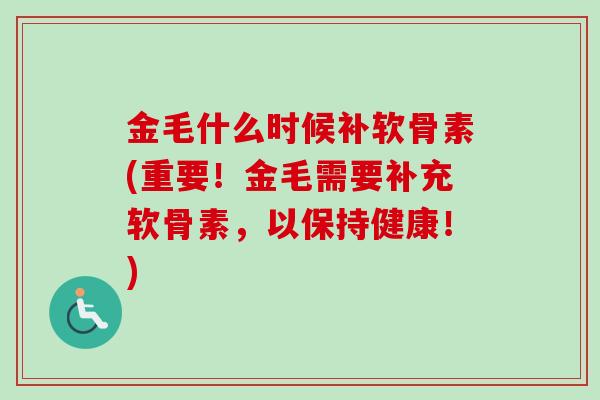 金毛什么时候补软骨素(重要！金毛需要补充软骨素，以保持健康！)